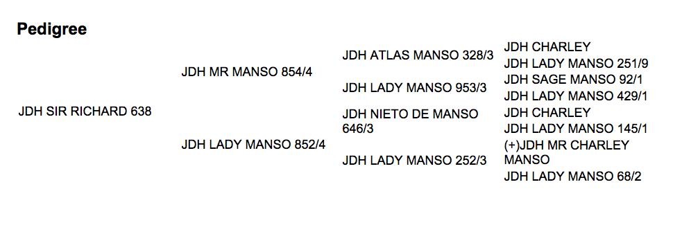 JDH MR MANSO 638 